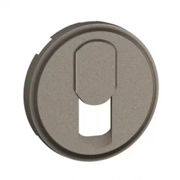 Kryt datové zásuvky Céliane RJ45 titan Legrand CT0340