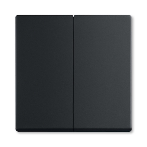 Kryt vypínače Future linear v mechové černé barvě od ABB spojuje moderní design s vysokou kvalitou. Jeho elegantní a nadčasový vzhled skvěle doplní jakýkoliv interiér, zatímco odolné materiály zajišťují dlouhou životnost. Díky dělenému provedení je instalace rychlá a jednoduchá, což usnadňuje údržbu. Vylepšete svůj domov s tímto stylovým krytem, který nabízí nejen funkčnost, ale i estetický zážitek.