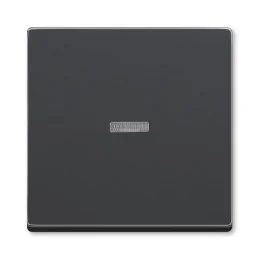 Kryt vypínače Future linear...